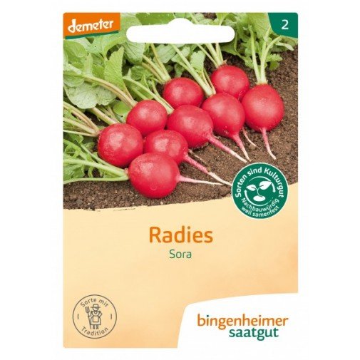 Bingenheimer biodinaminių valgomųjų ridikėlių "Sora" sėklos