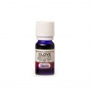 Argital gvazdikėlių pumpurų et.al., 10ml
