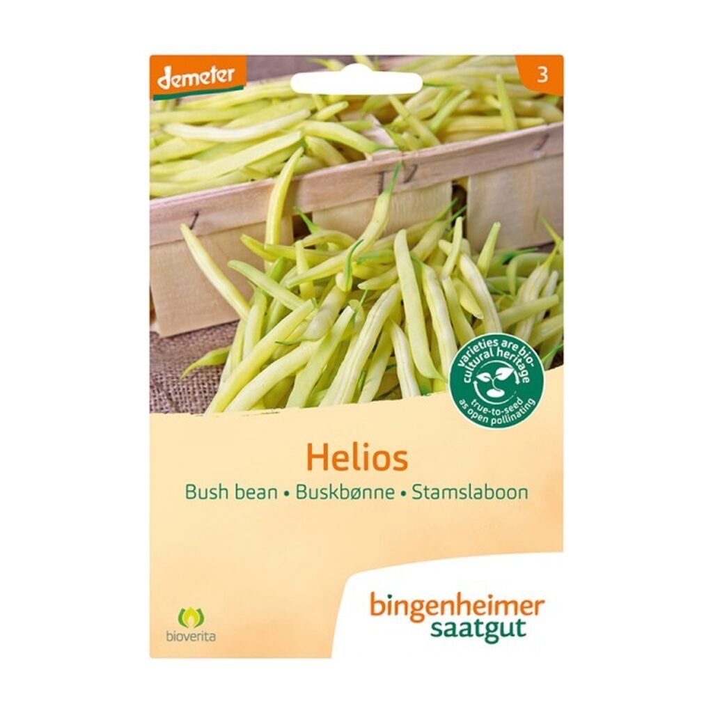 Daržinių šparaginių pupelių Helios sėklos