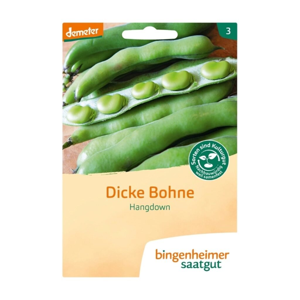 Pupų „Dicke Bohne“ sėklos