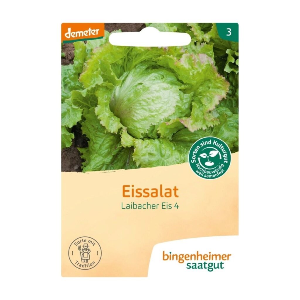 Gūžinių sėjamųjų salotų sėklos „Laibacher Eis“