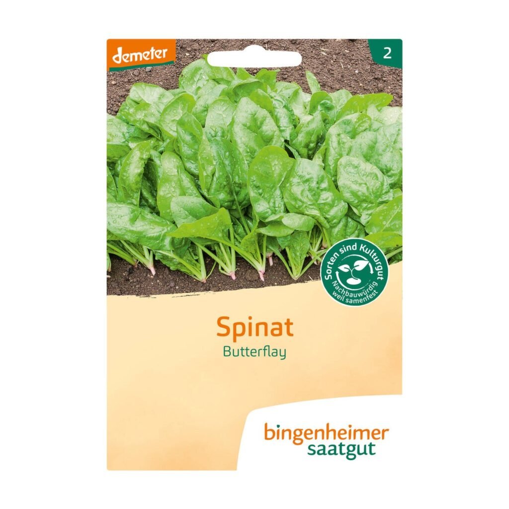 Daržinių špinatų Butterflay sėklos