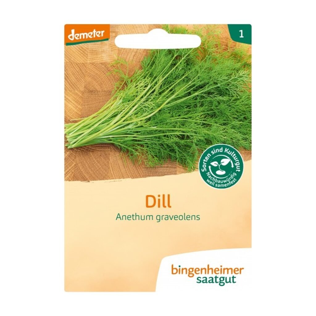 Krapų „Anethum graveolens“ sėklos
